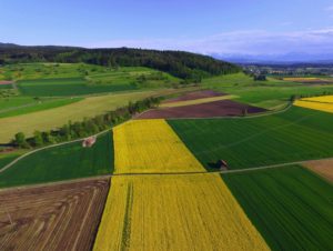 Seasonal Agricultural Worker Program