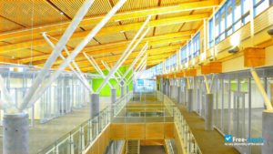 Athabasca University